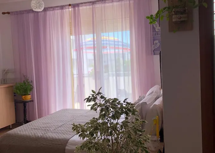 Apartment Of Shpresa